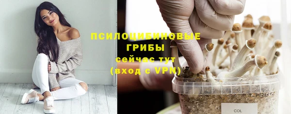 гидропоника Медвежьегорск
