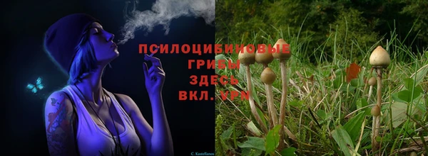 гидропоника Медвежьегорск