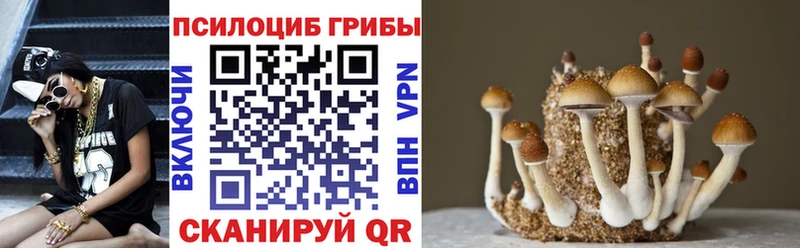 цены Никольское Псилоцибиновые грибы ЛСД